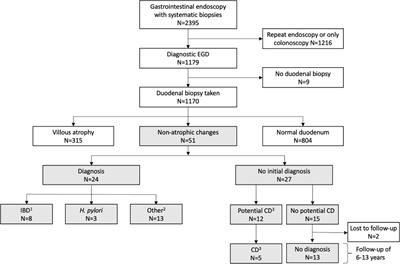 Differential diagnosis and long-term outcomes of non-atrophic duodenal changes in children